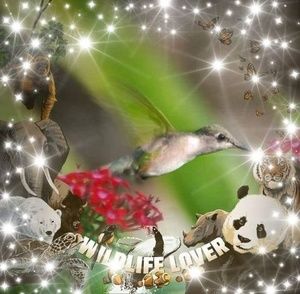 Meet your Posher, Onika